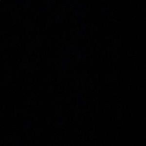 Meet your Posher, Jaycee